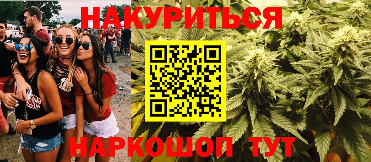 Конопля сатива Березники
